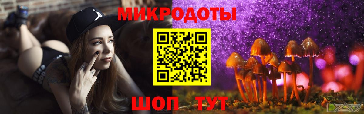 Нальчик  Псилоцибиновые грибы Cubensis  Вход с VPN 